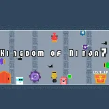 Kingdom of Ninja 7